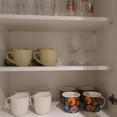 Mieszkanie W Centrum Z Widokiem Na I Z Parkingiem * ביילסקו-ביאלה